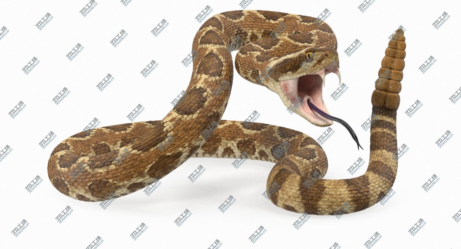 images/goods_img/202104093/Light Rattlesnake Attack Pose 3D/3.jpg
